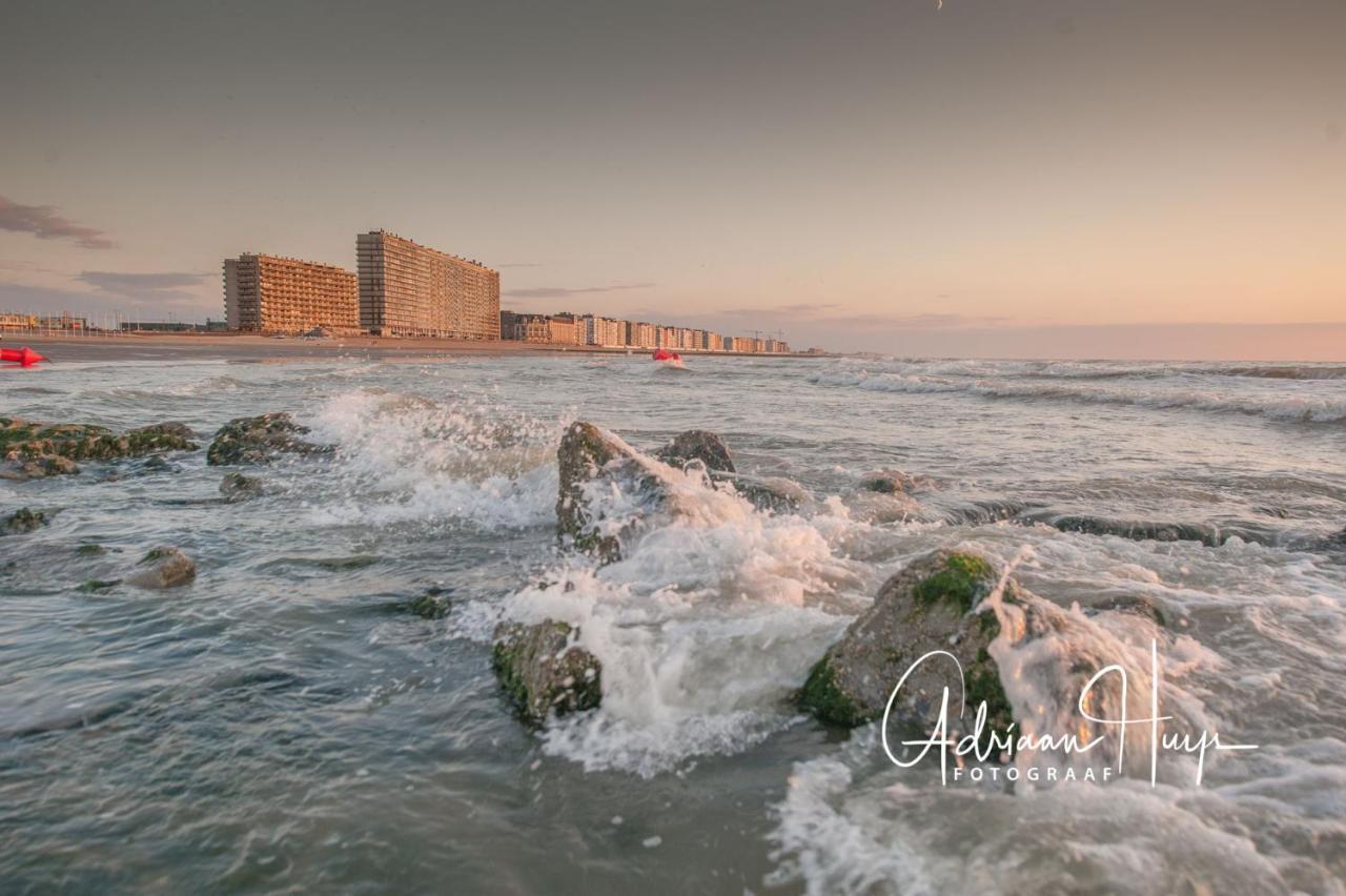 Studio Met Groot Zonneterras Centrum Oostende エクステリア 写真